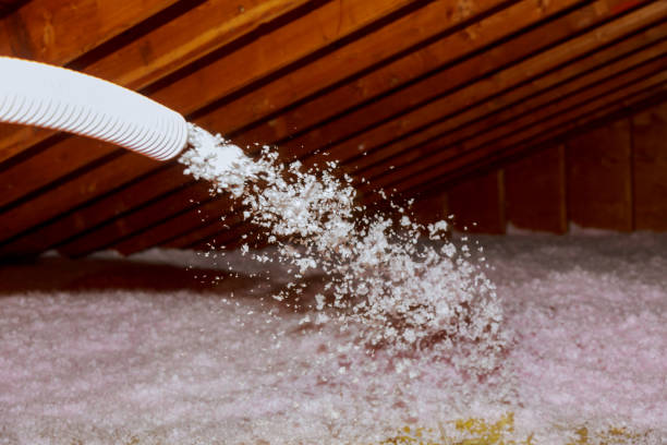 Best Insulation Removal  in Mcgehee, AR