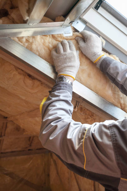 Best Home Insulation Services  in Mcgehee, AR